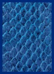 Dragon Hide, Blue - Sleeves